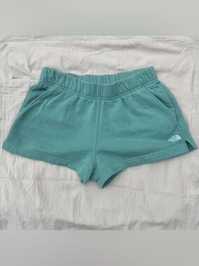 The North Face Mint Green Shorts